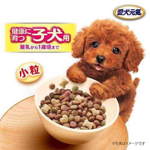 日本國產愛犬元氣幼犬糧（雞肉、蔬菜、小魚口味）2kg