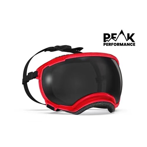 美國 REX SPECS V2 犬用護目鏡