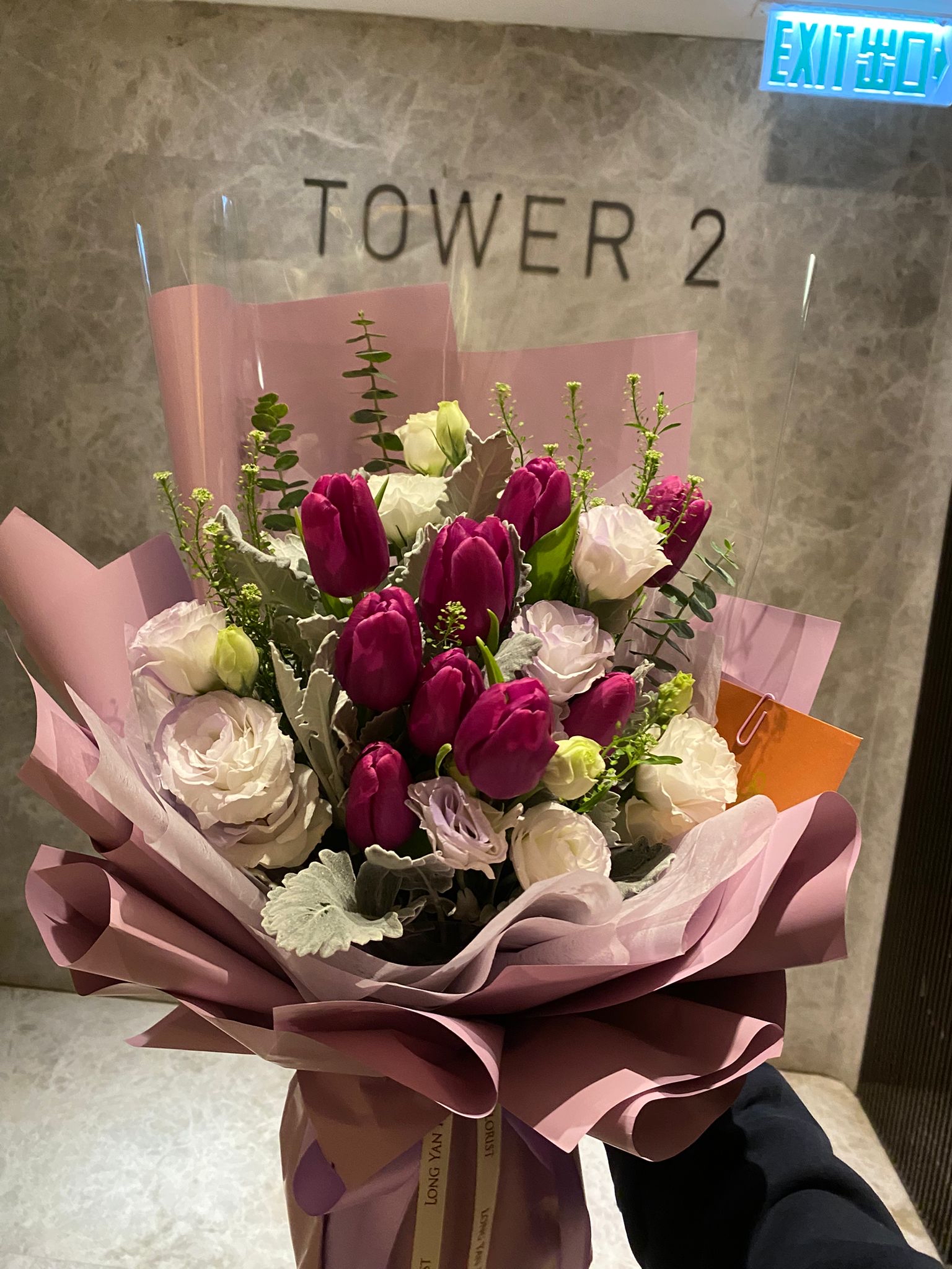 9枝紫色鬱金香_TUP55001