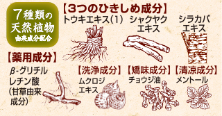 小林製藥-小林製藥生葉牙齦緊緻牙膏 100g【平行進口】