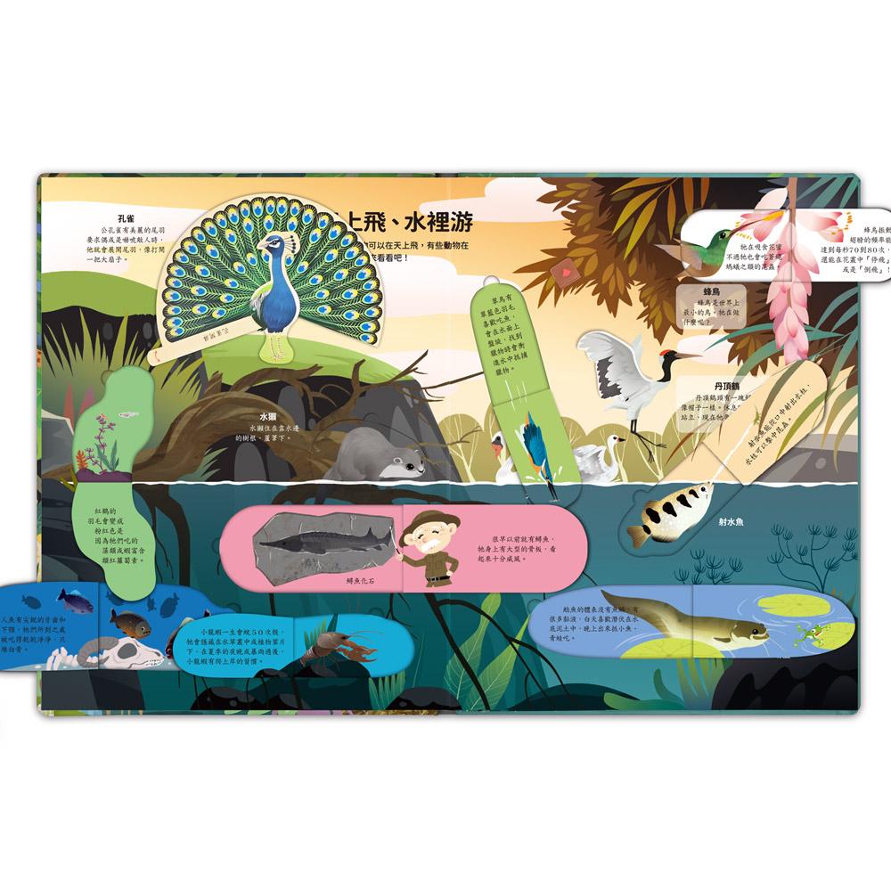 台灣書團-風車 立體翻翻書系列-神奇的動物百科