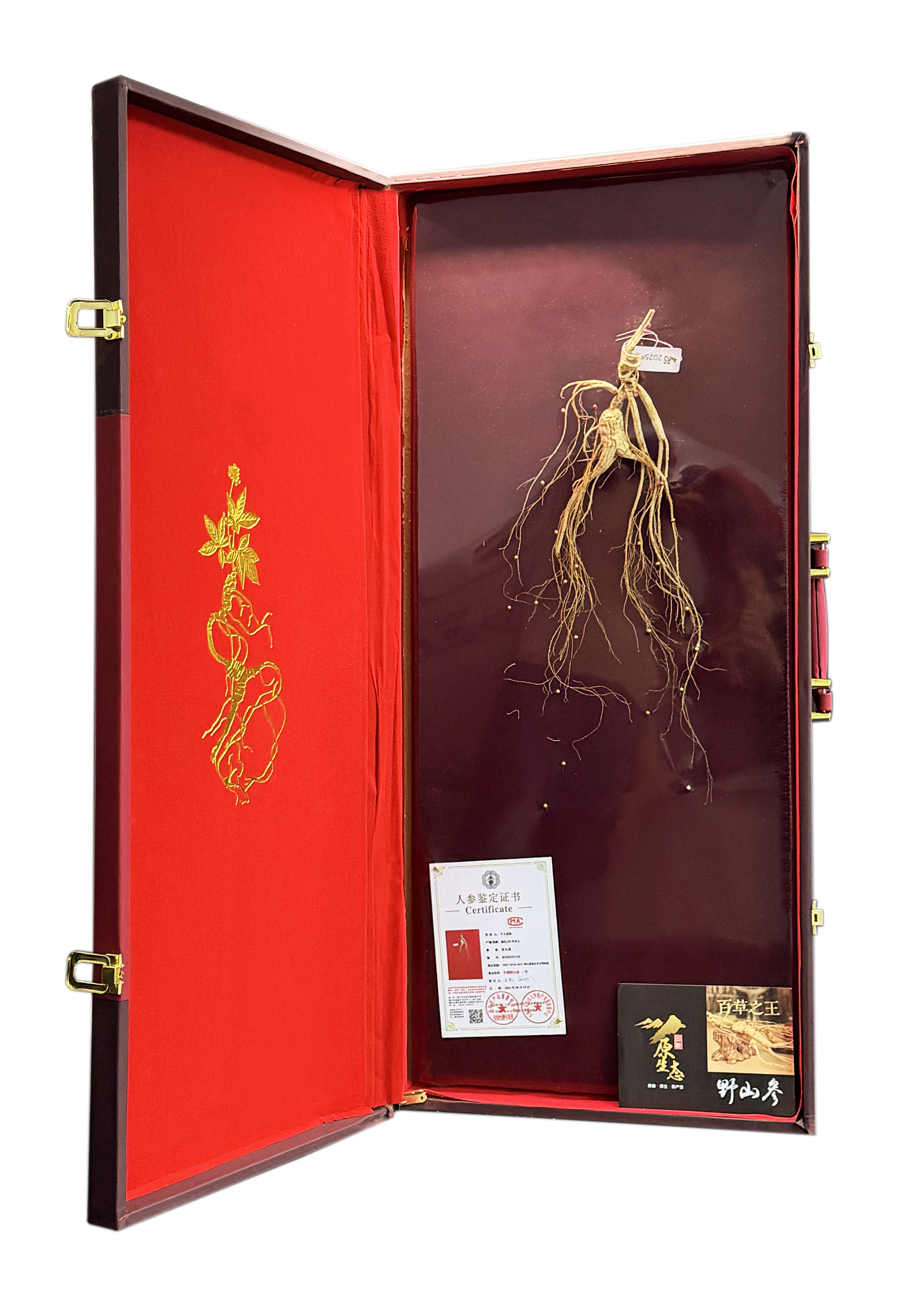 20年以上長白山野山林下蔘