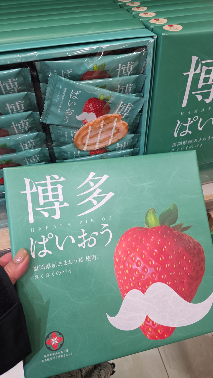 博多甘王草莓脆皮派（Hakata Paio) 16入