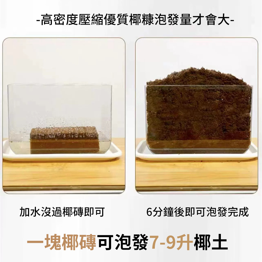 椰磚營養土 有機養花 蔬菜 多肉 壓縮椰粉磚 園藝栽培 椰糠 [平行進口] HK2740