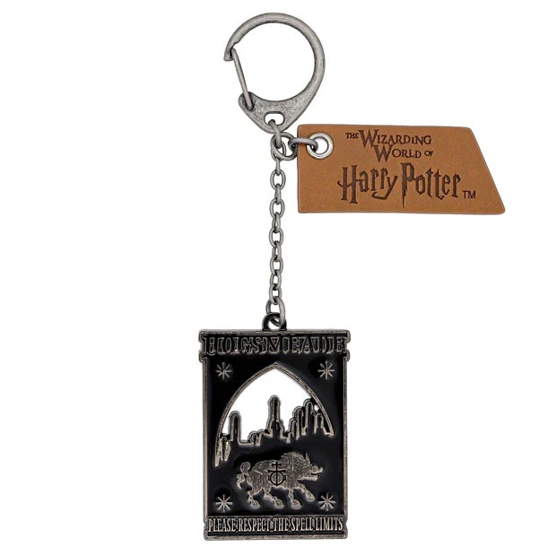 Harry Potter Keychain