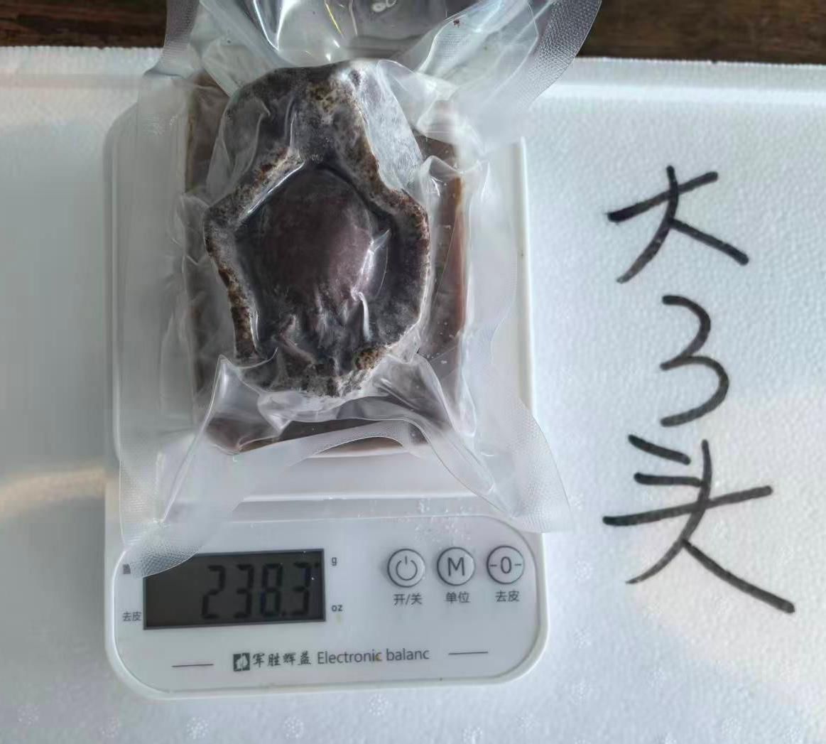 秘製鮑汁特大鮑魚