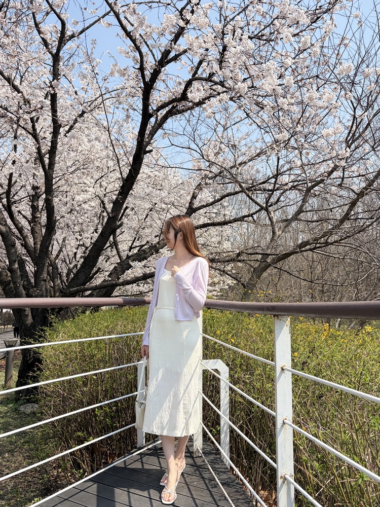 Airy Pastel Cropped Cardigan (Lavender)