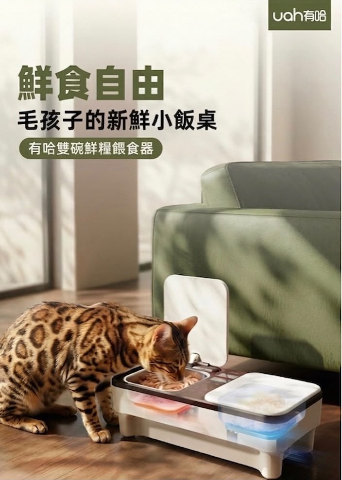 有哈 uah 雙碗鮮糧餵食器 香港三腳插頭 (預購產品)