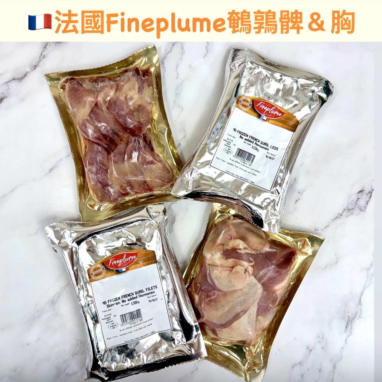 法國Fineplume鵪鶉