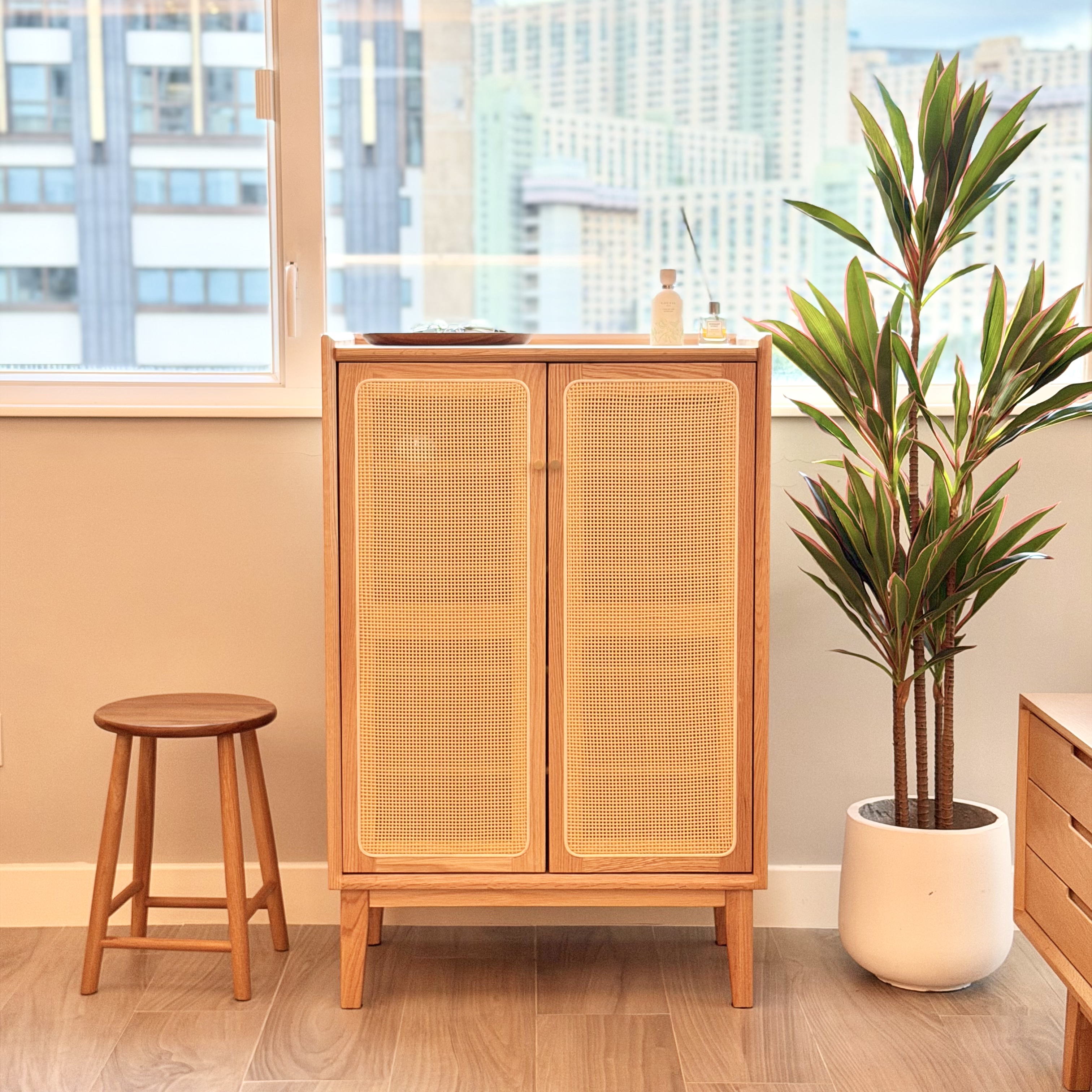新品推介 SAIGON Shoe Cabinet 