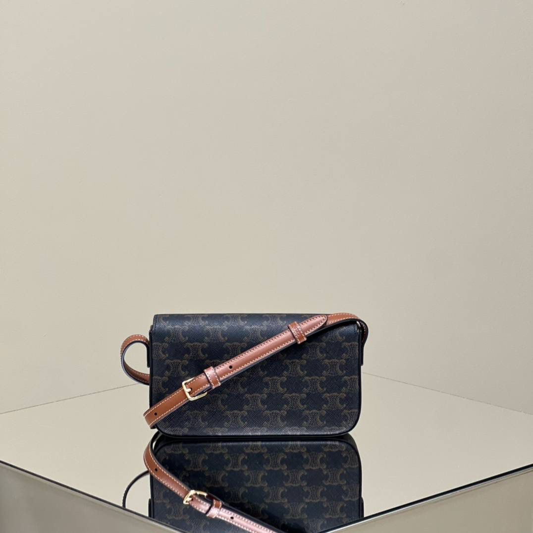 🔥大货实拍图 𝗖𝗘𝗟𝗜𝗡𝗘 ♥ 𝗧𝗥𝗜𝗢𝗠𝗣𝗛𝗘 𝗦𝗛𝗢𝗨𝗟𝗗𝗘𝗥 𝗕𝗔𝗚 型号：194142 尺寸：20*10*4cm