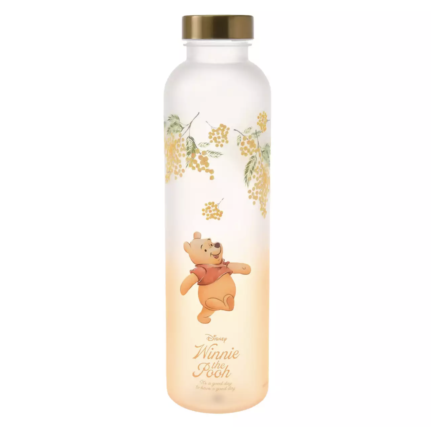 預訂 Drinkware 不銹鋼水杯連杯套 大容量水樽 Marie Aliens Pooh Minnie 