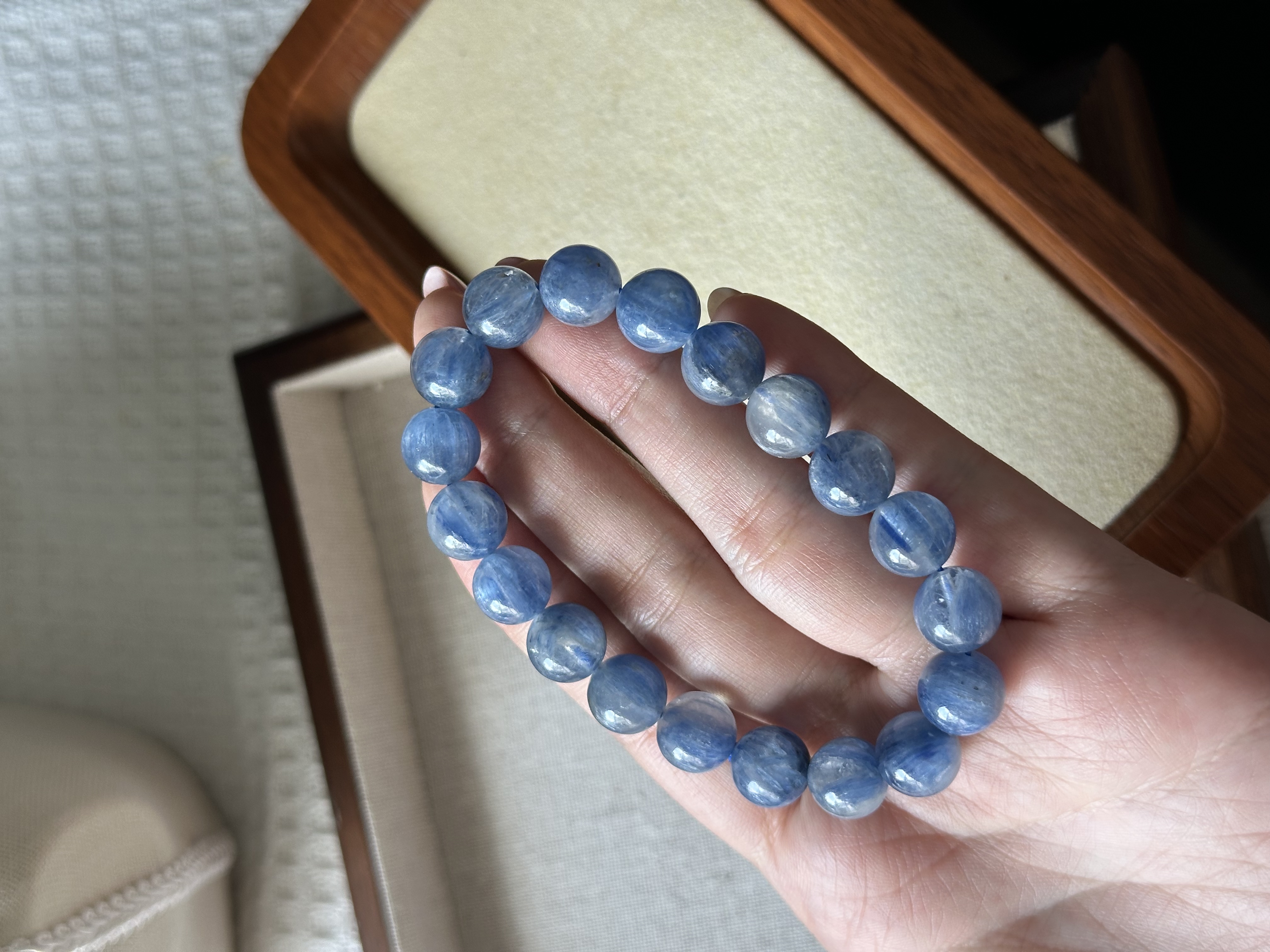 玉化深蓝蓝晶石 ｜ Kyanite 10mm+ 
