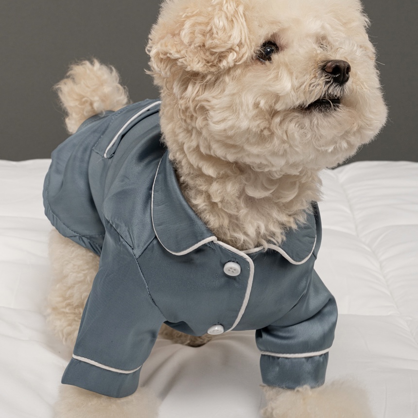*SuperPet🇰🇷狗狗高級絲綢風睡衣