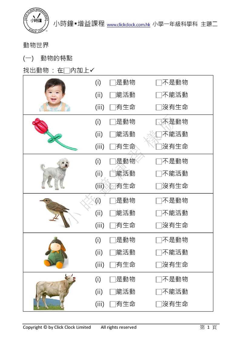 模擬試卷 (一年級)