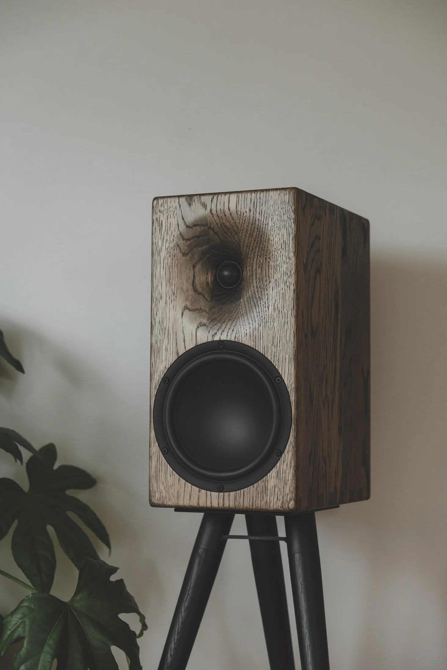 Buchardt E50-S