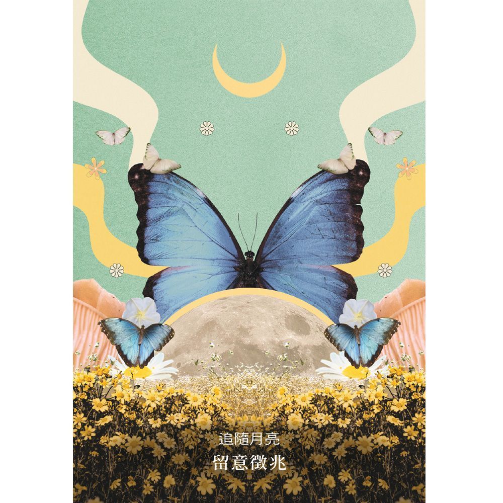 月亮訊息神諭卡