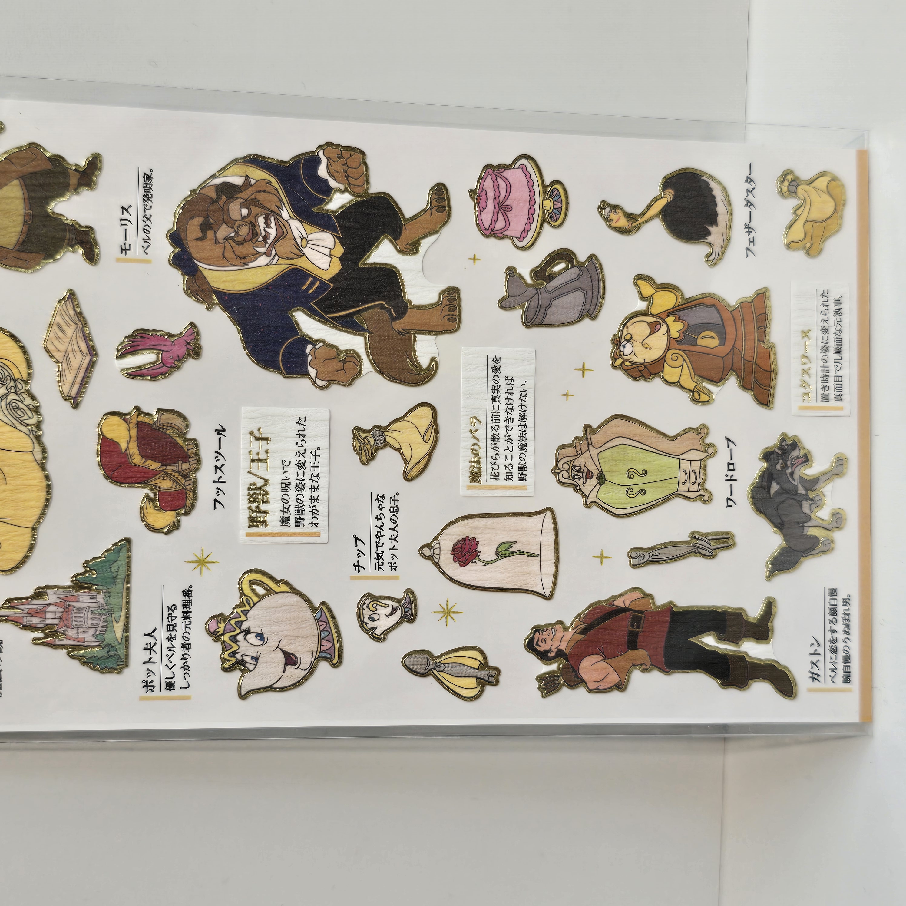 現貨 大人の圖鑑貼紙 Ariel Belle Jasmine