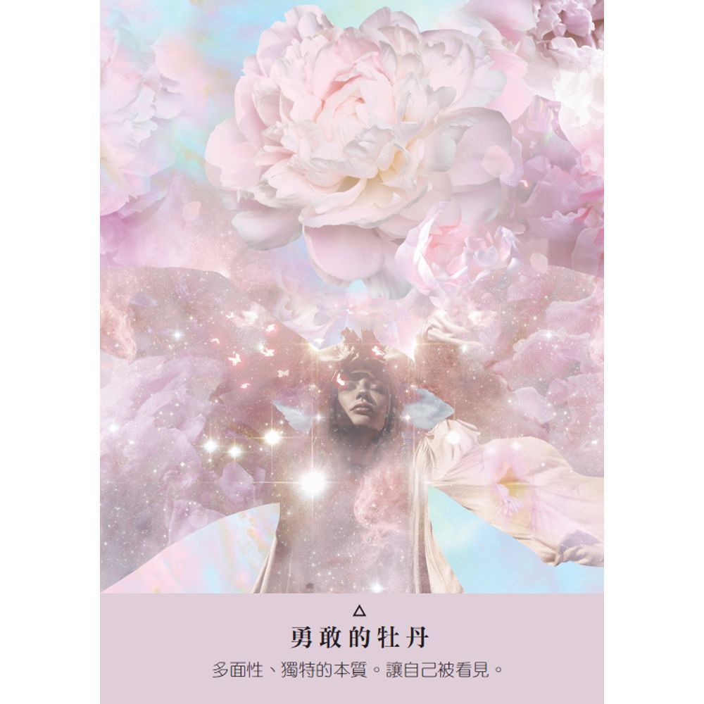 星際種子神諭卡