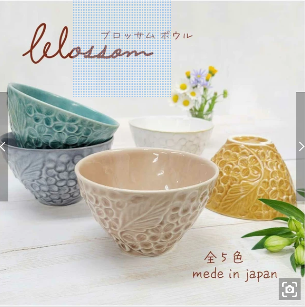 日本美濃焼浮雕花卉圖案植物陶碗