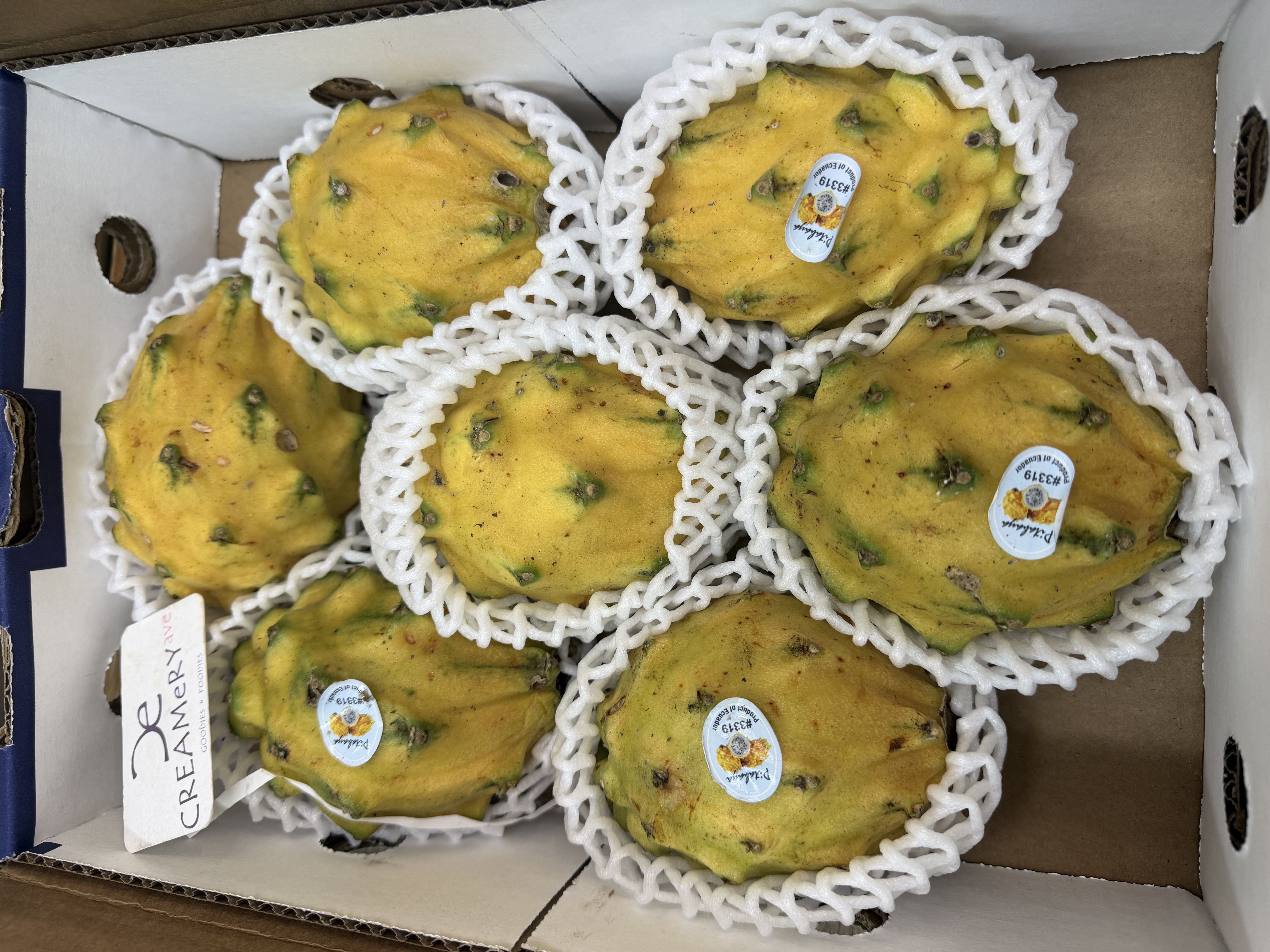 厄瓜多爾麒麟果 Ecuador Yellow Pitaya 7裝 2個