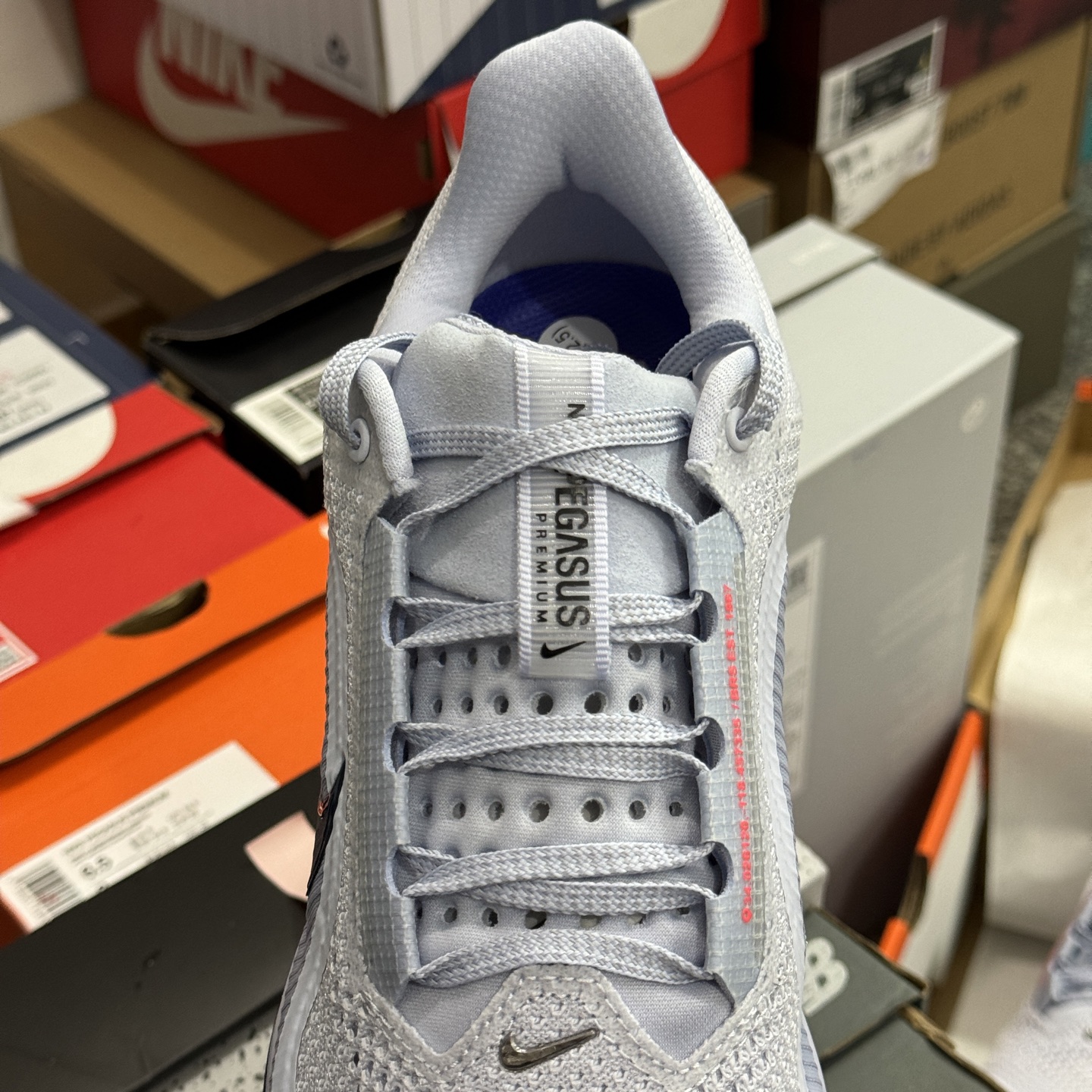 Nike Pegasus Premium "Persian Violet" HQ2592-004