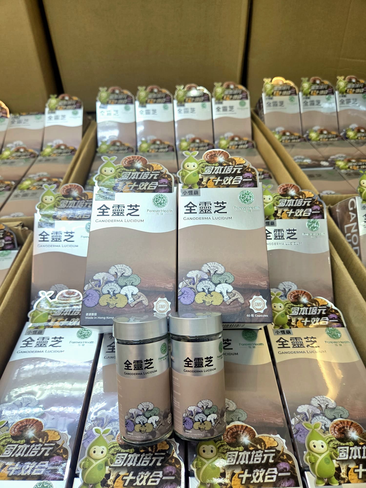 恆健~野生全靈芝