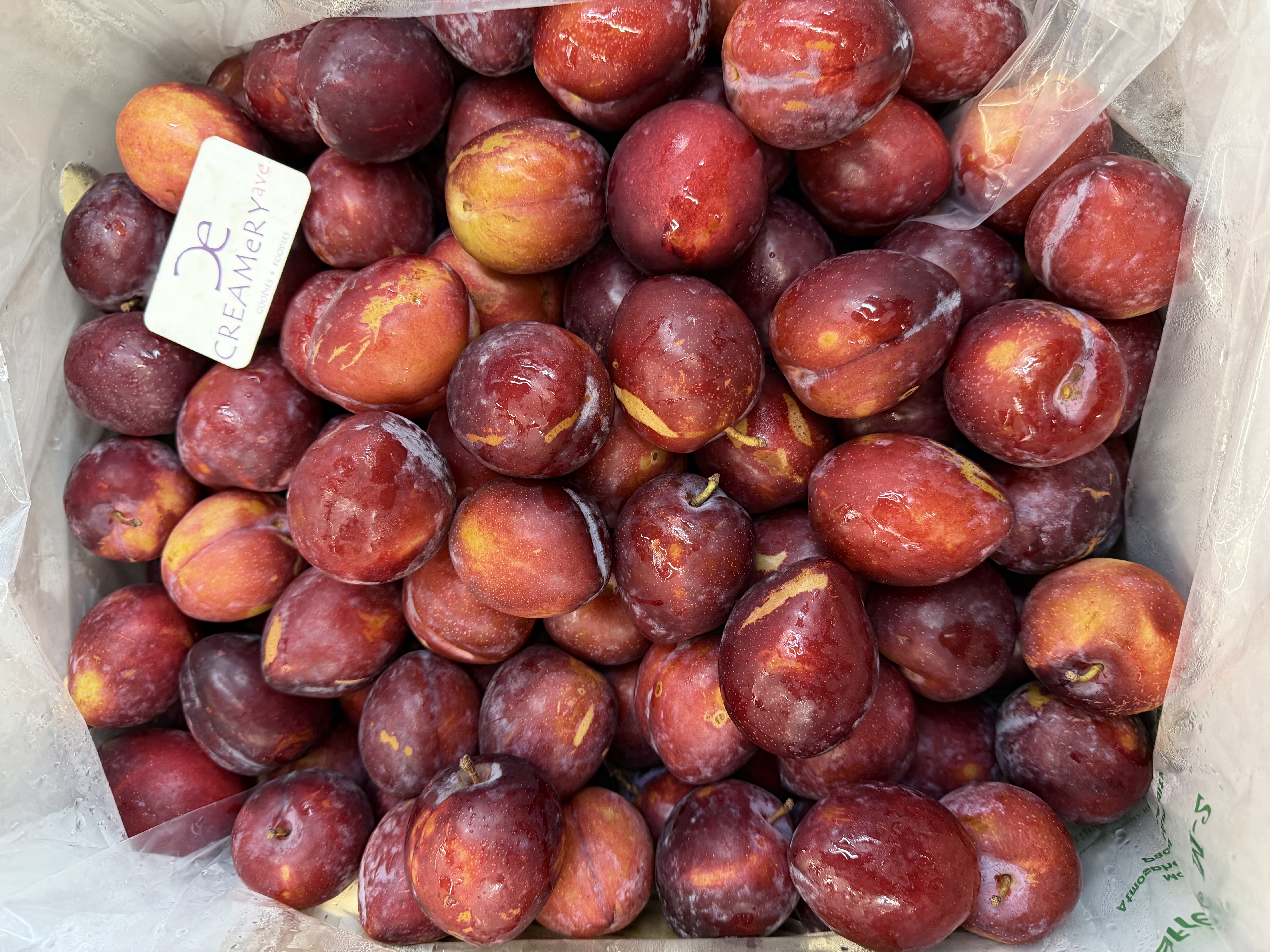 澳洲雞心梨 Australia Sierra Sweet Pear 2磅