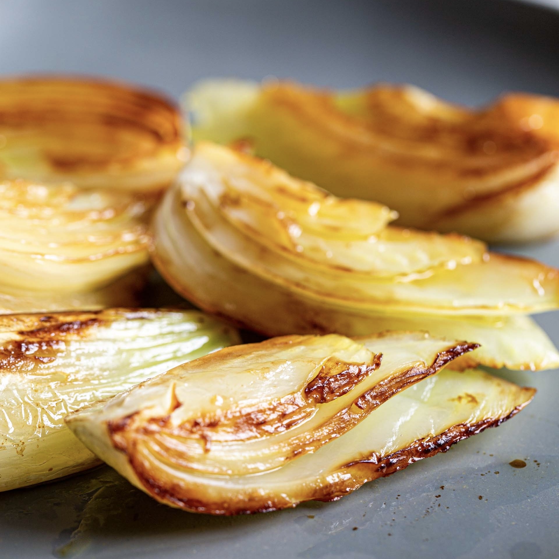 💧荷蘭 鮮茴香球 Netherlands Fennel Bulbs 