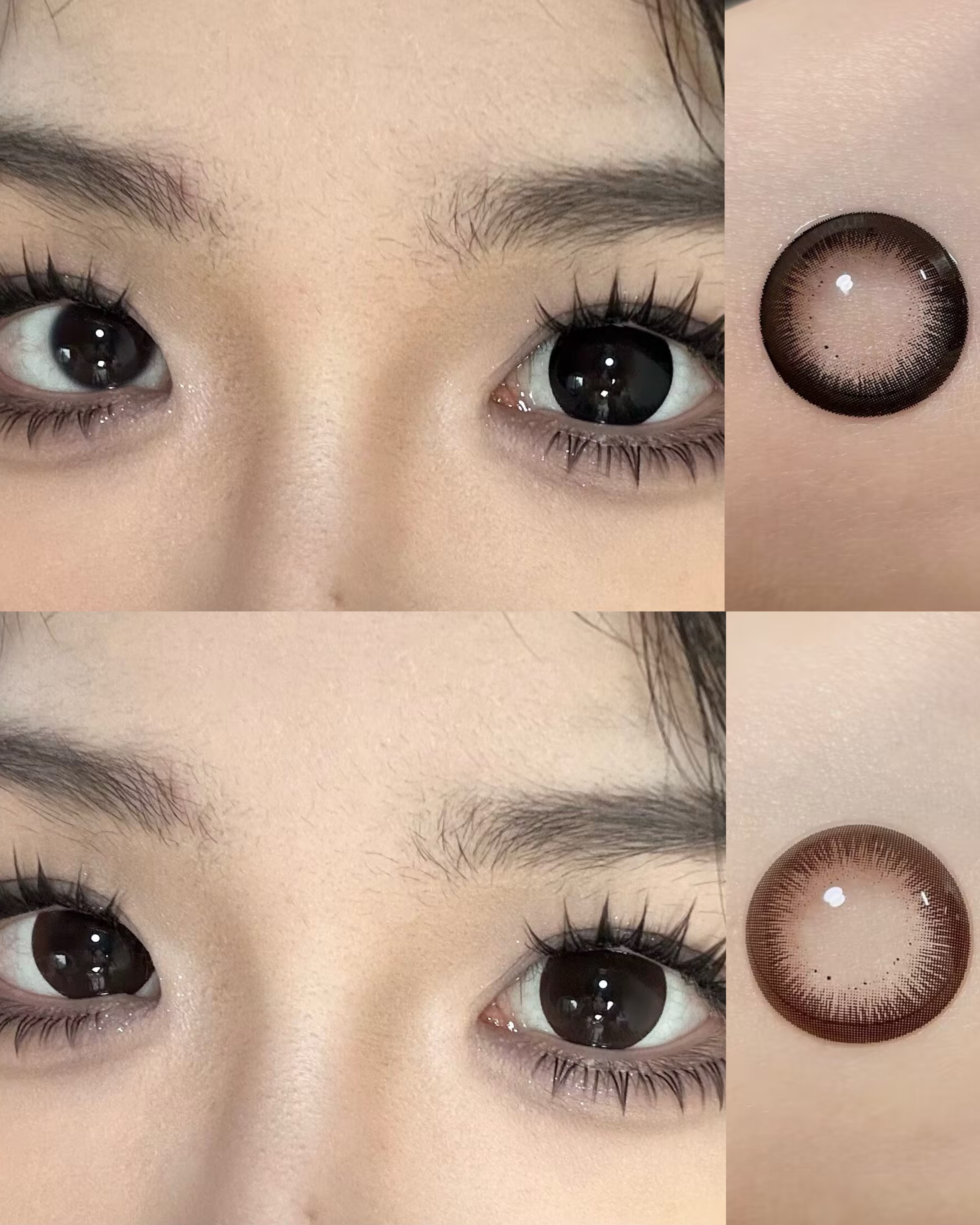 Yukicon 日拋2片 大黑/大巧