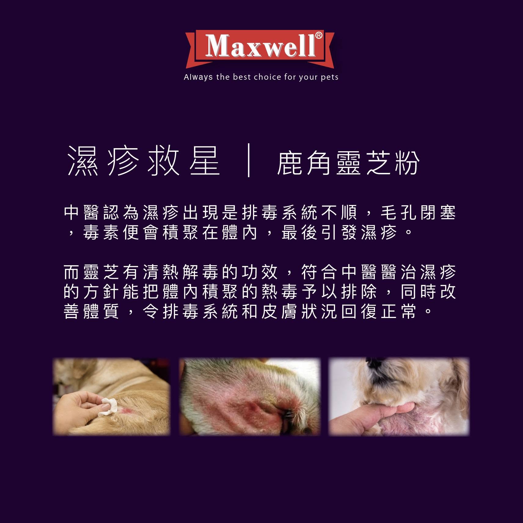 Maxwell｜Grade A 純鱷魚鹿角靈芝粉 50G - 濕疹救星抗過敏