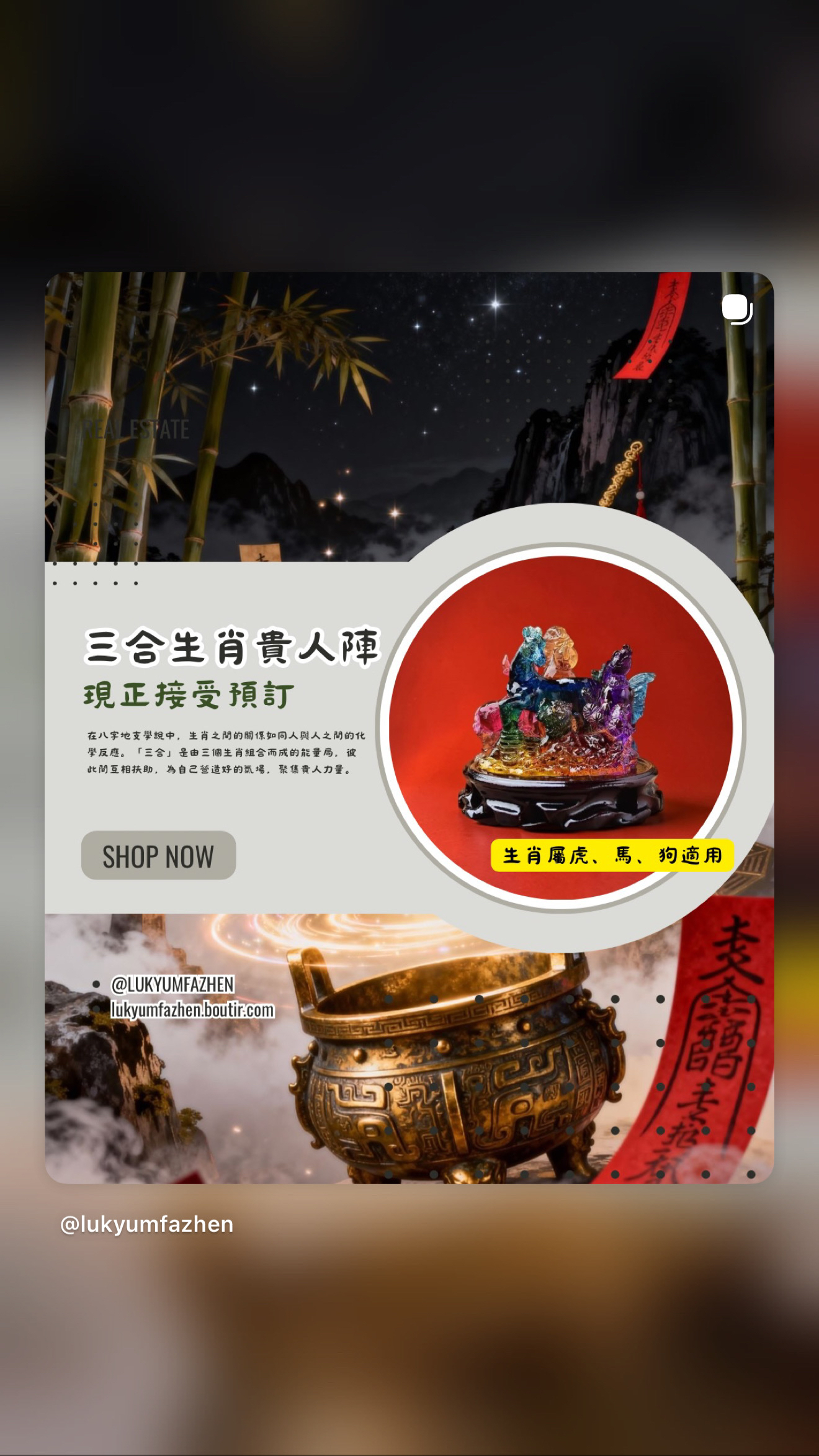 ［預訂］🔮☯️三合生肖貴人陣☯️🔮