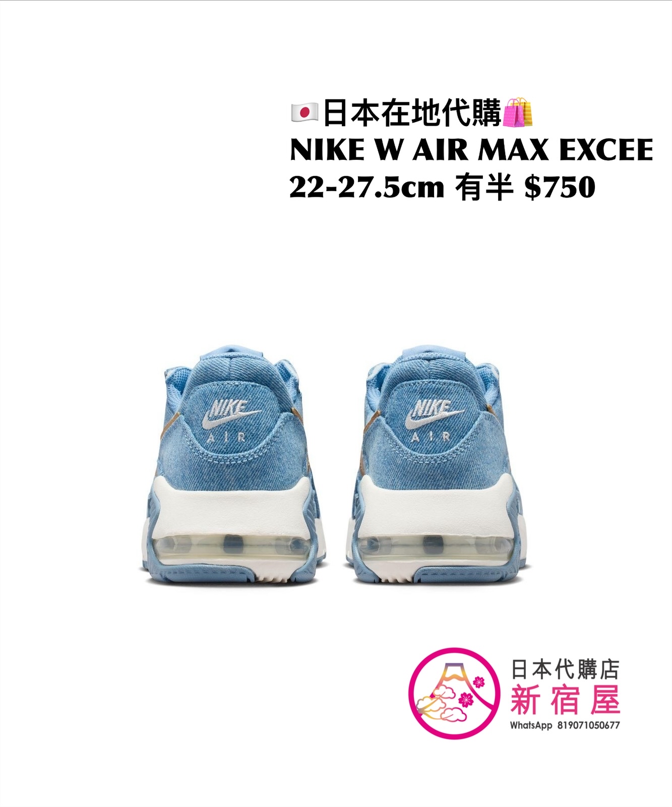 NIKE W AIR MAX EXCEE 