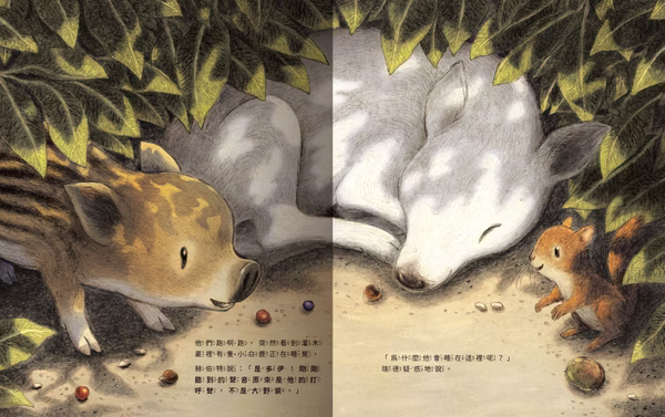 小野豬迷路了