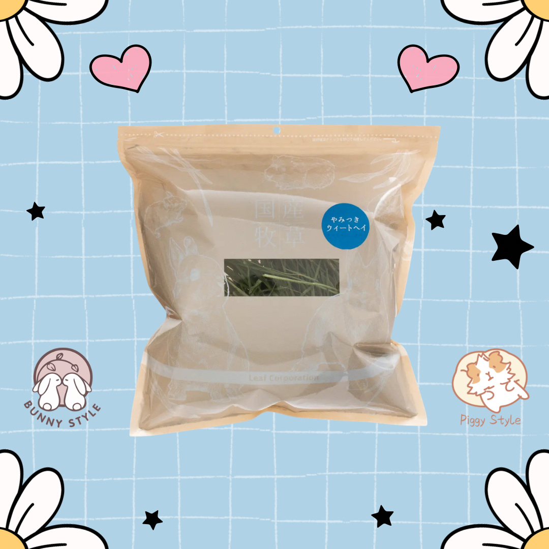 日本Leaf Corp 上癮小麥（小麥嫩葉） 100g