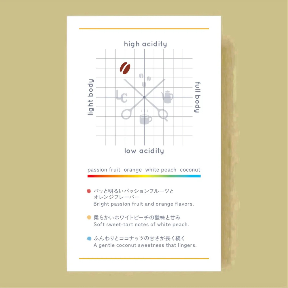 LiLo COFFEE COLORFUL Blend ~2026 Summer~