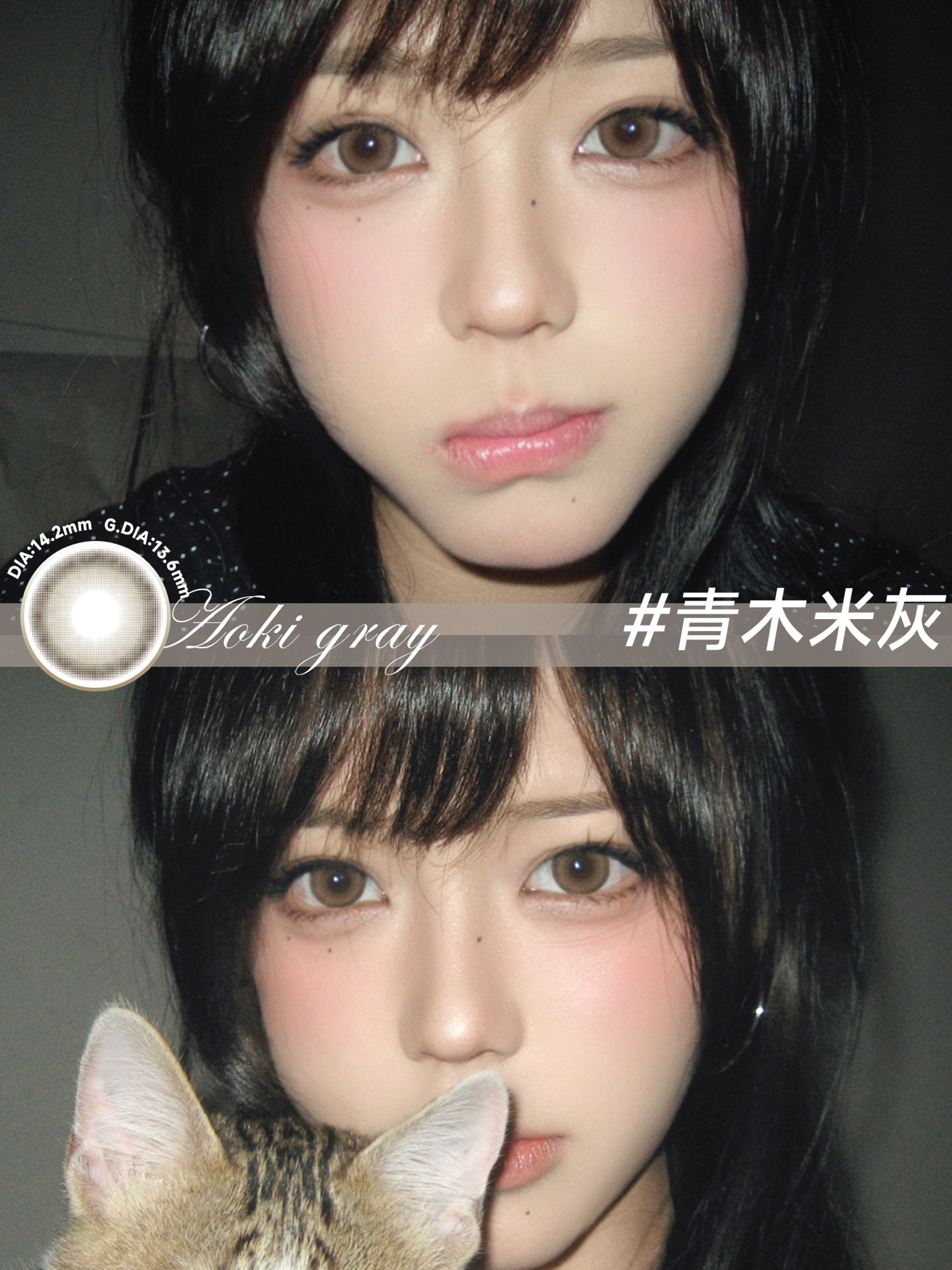 Serltyca 日拋6片裝 青木米灰/青木淺駝