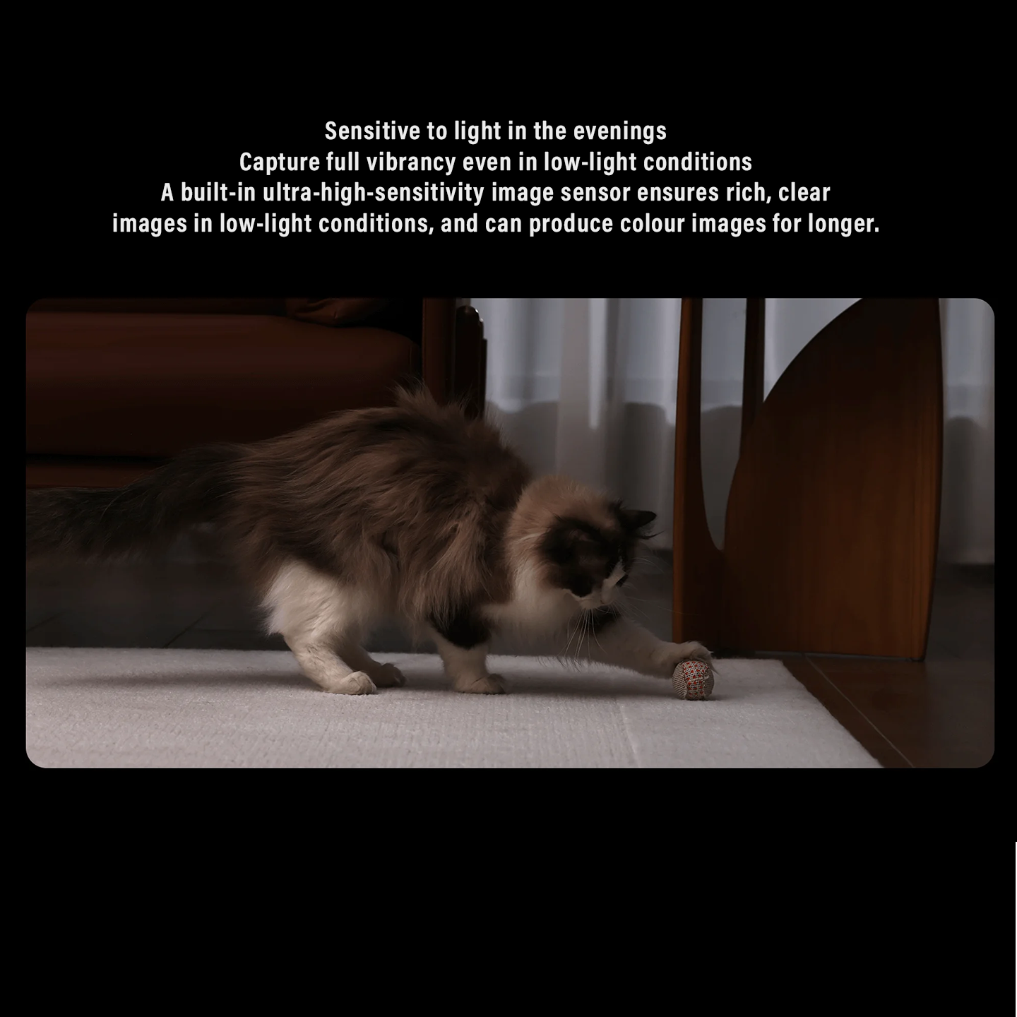 Xiaomi C500 360° Smart Camera AI Detection (BHR089JMY)