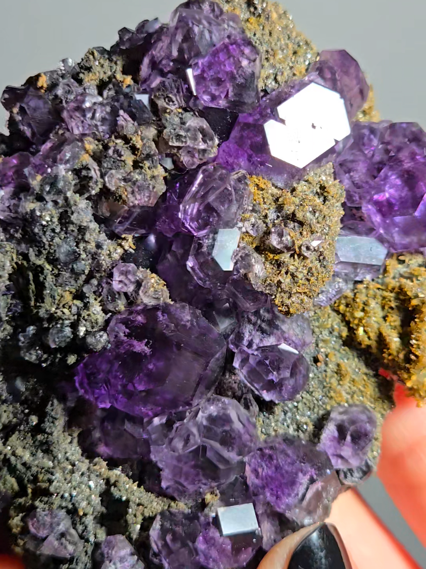 Tanzanite fluorite with perfect dodecahedrons - FL368