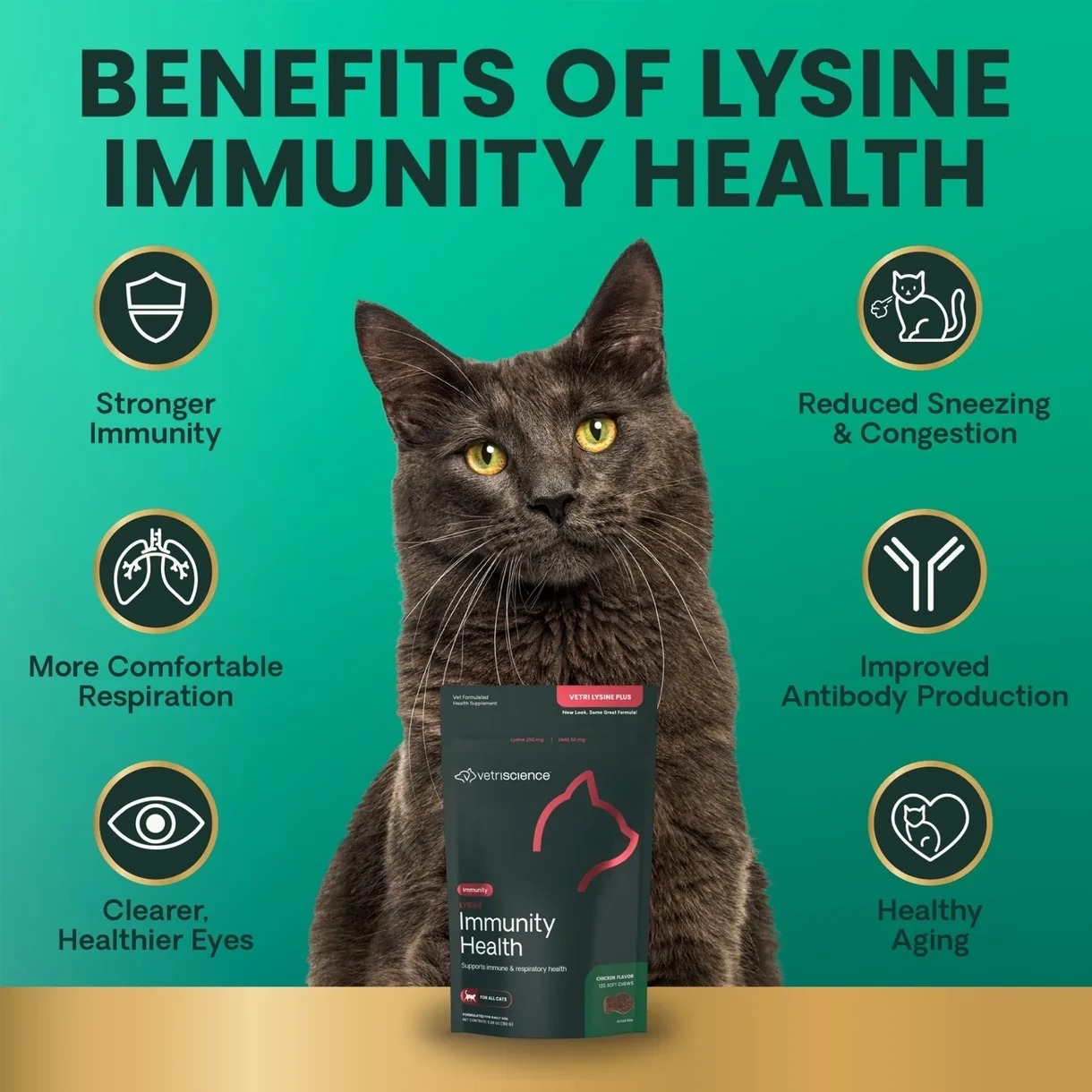 VetriScience Vetri Lysine Plus 賴氨酸咀嚼肉小食120粒