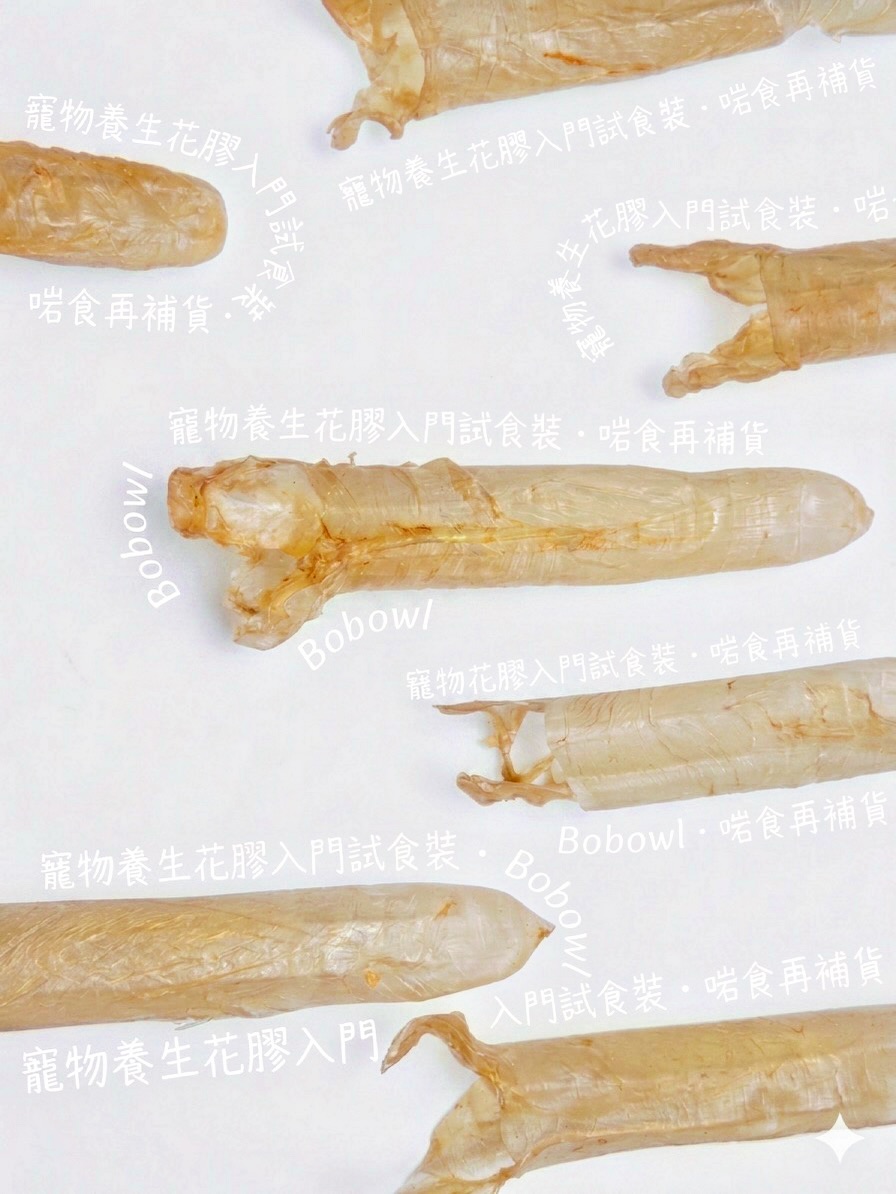 寵物養生花膠