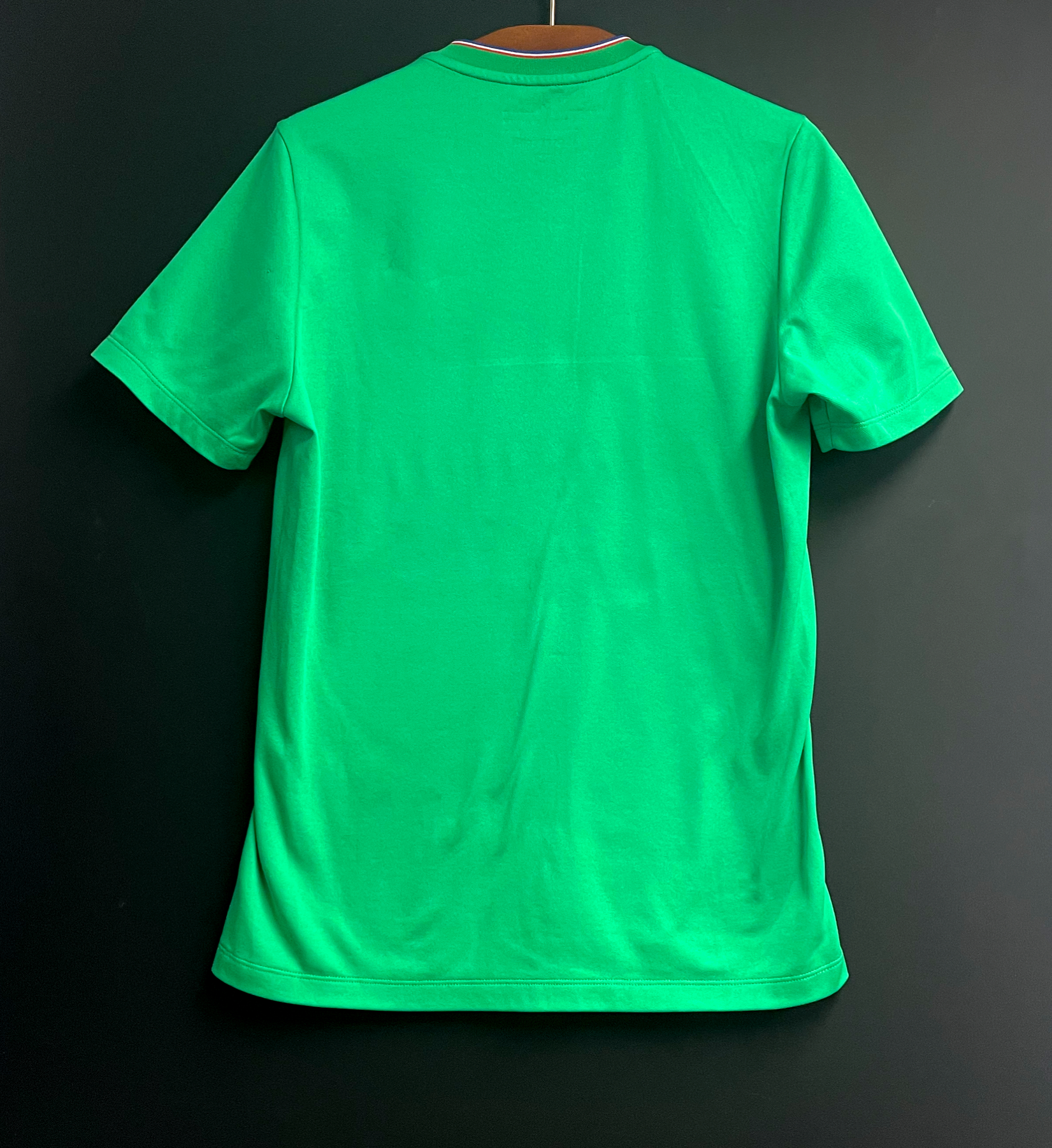 聖伊天15/16主場 AS Saint-Etienne 2015-2016