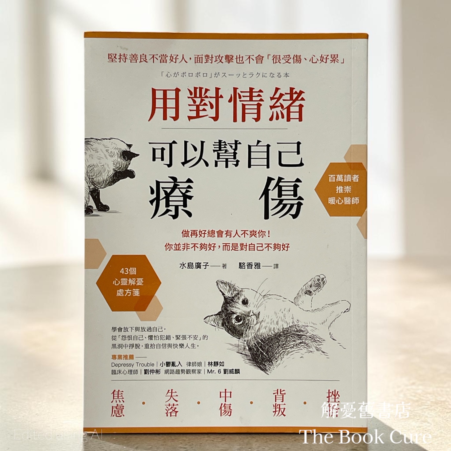 用對情緒，可以幫自己療傷 / 水島廣子 著