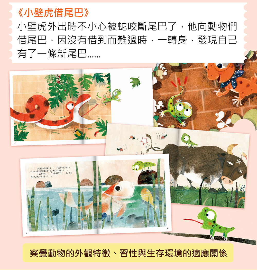 風車 探索吧!科學套書(全套10冊)-我的第一本科學繪本