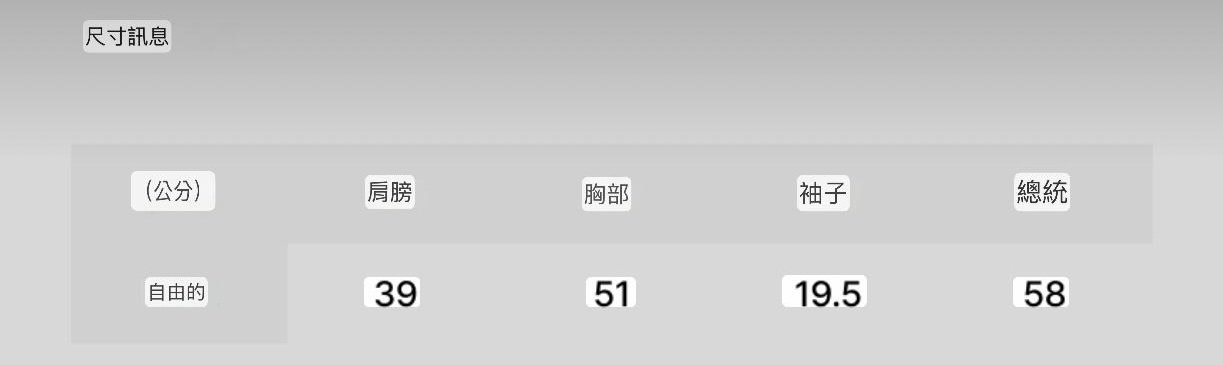 🇰🇷韓國Wacky Willy女裝短袖Tee