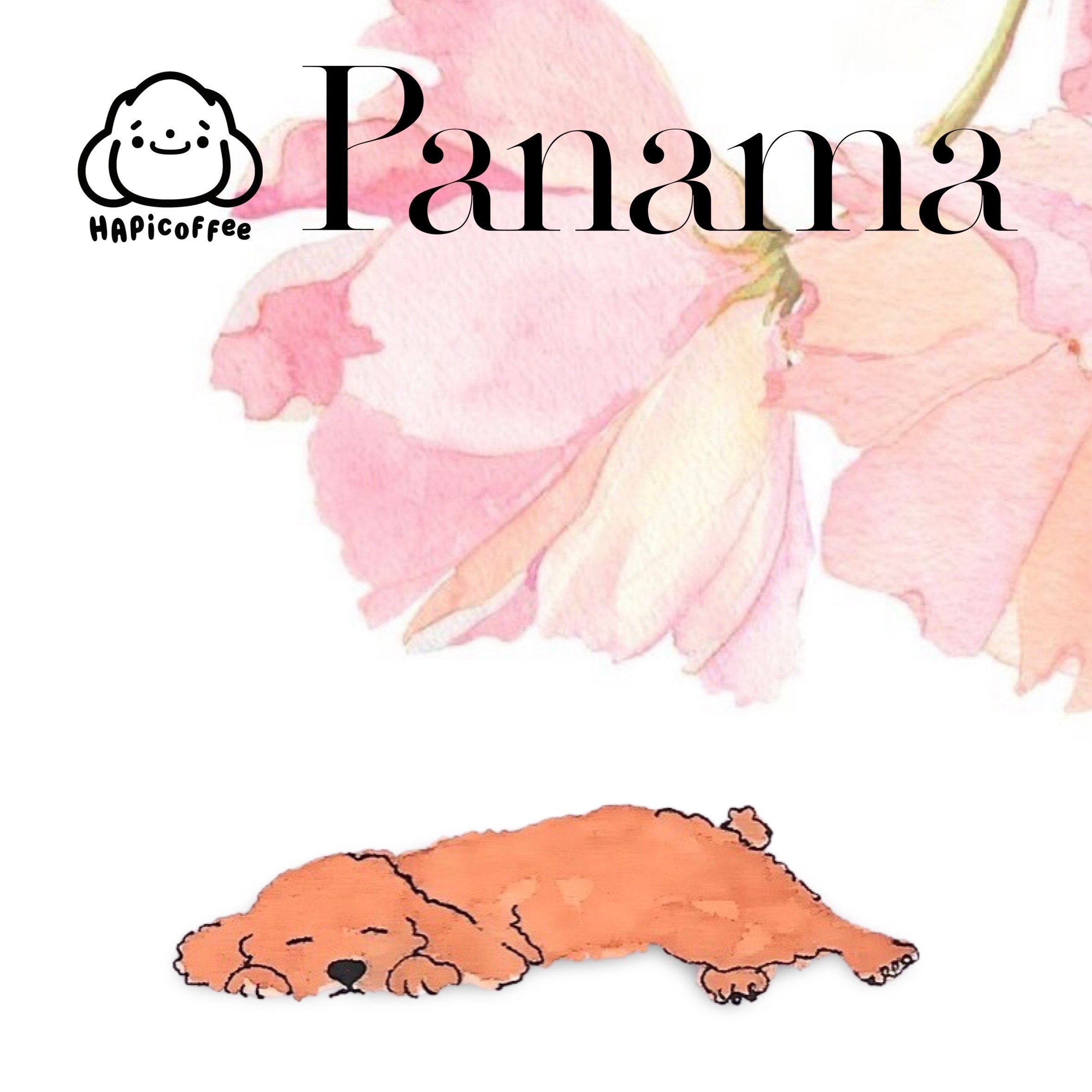 04/05 Panama Natural Volcan Carmen Estate Caturra Natural