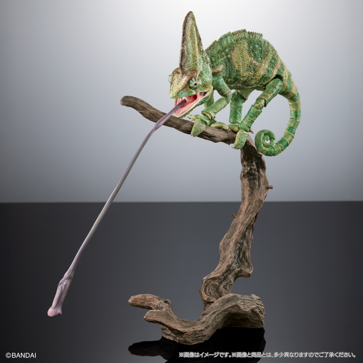 (預訂訂金 $200) (總價 $605) (Gashapon Online 限定) Bandai The Diversity of Life on Earth Premium Chamaeleo Calyptratus 生物大圖鑑 Premium 高冠變色龍 扭蛋 (行版) 
