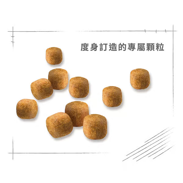 Royal Canin 法國皇室 - 緬因貓成貓配方 2KG