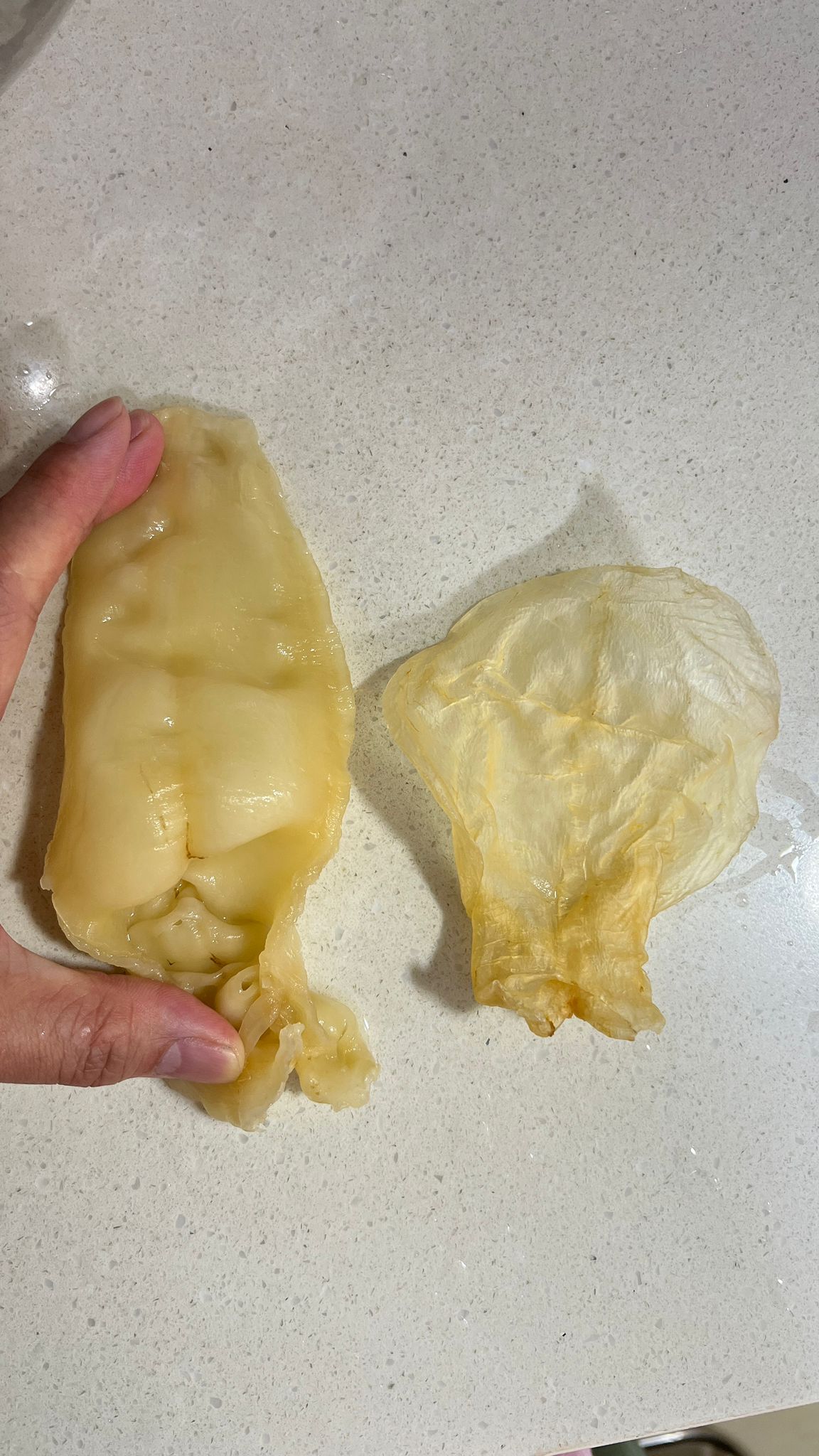 澳洲野生鹹水片65頭