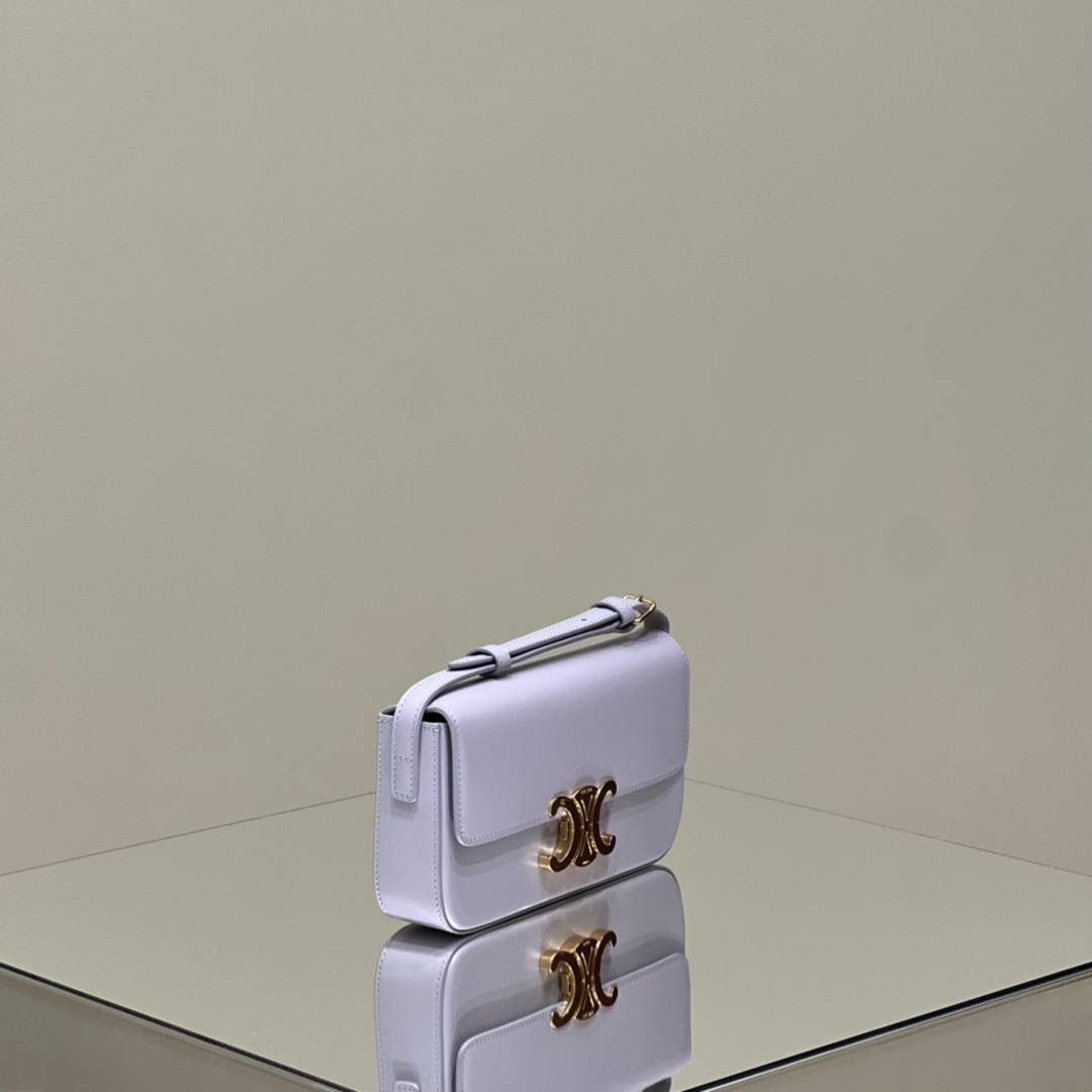 🔥大货实拍图 𝗖𝗘𝗟𝗜𝗡𝗘 ♥ 𝗧𝗥𝗜𝗢𝗠𝗣𝗛𝗘 𝗦𝗛𝗢𝗨𝗟𝗗𝗘𝗥 𝗕𝗔𝗚 型号：194143 尺寸：20*10*4cm